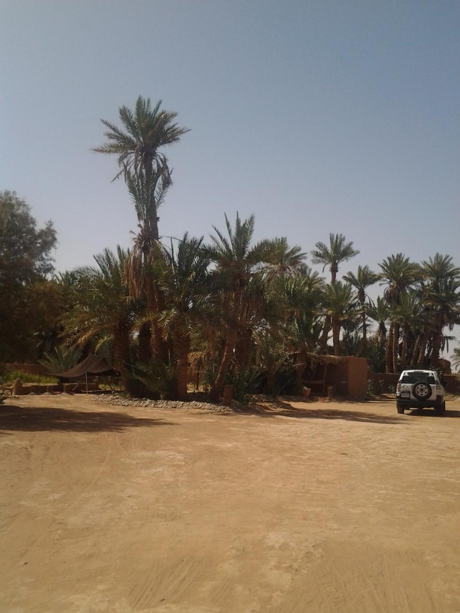 מחמיד Kasbah Les Alizes Du Desert מראה חיצוני תמונה