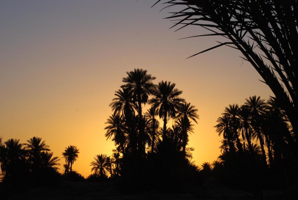 מחמיד Kasbah Les Alizes Du Desert מראה חיצוני תמונה