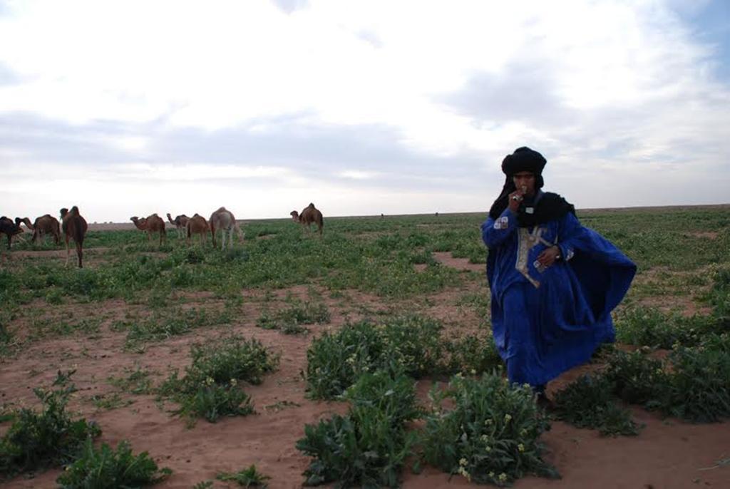 מחמיד Kasbah Les Alizes Du Desert מראה חיצוני תמונה