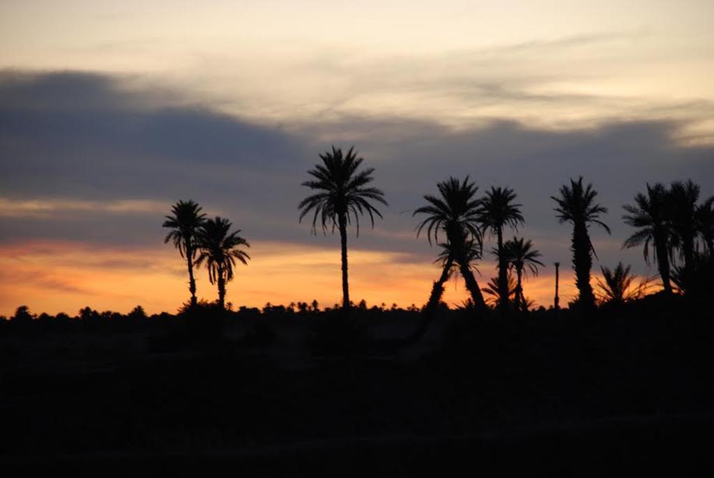 מחמיד Kasbah Les Alizes Du Desert מראה חיצוני תמונה