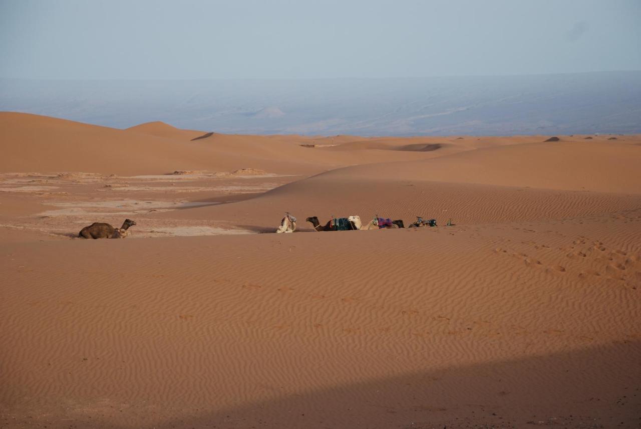 מחמיד Kasbah Les Alizes Du Desert מראה חיצוני תמונה