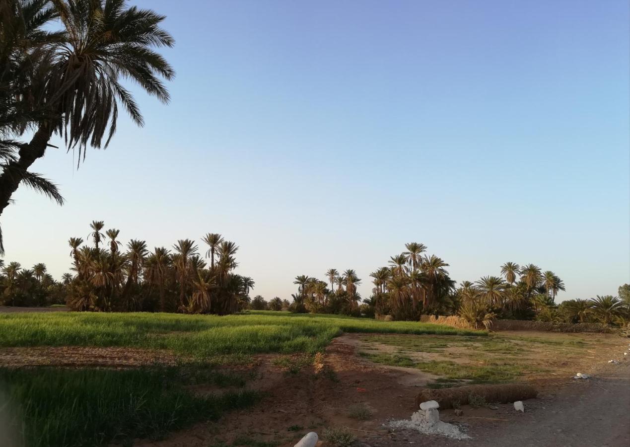 מחמיד Kasbah Les Alizes Du Desert מראה חיצוני תמונה