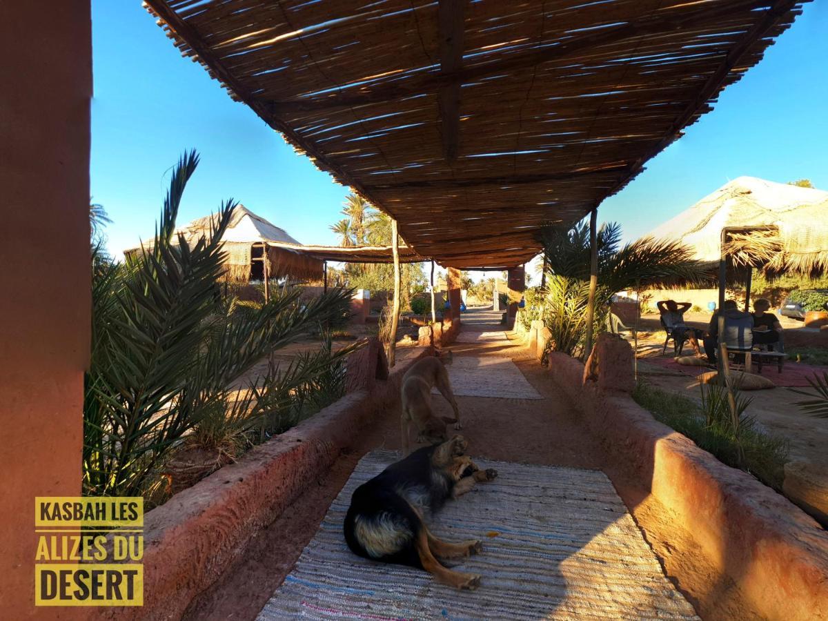 מחמיד Kasbah Les Alizes Du Desert מראה חיצוני תמונה